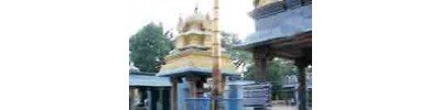 256. திருவொற்றியூர்